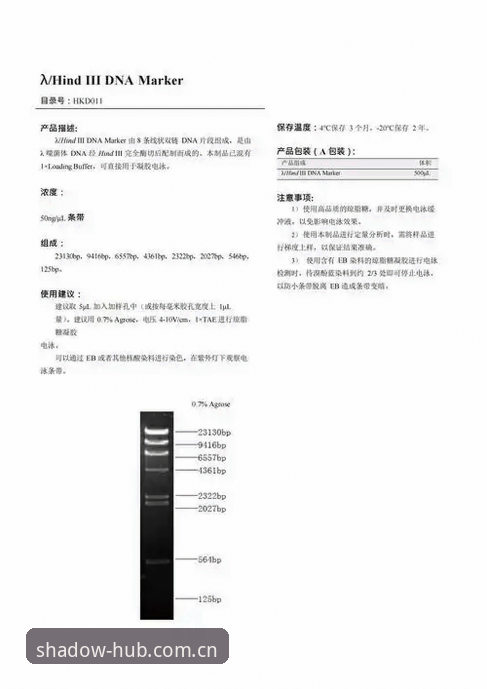 幻影体育CN电竞实时比分 雷吉亚纳引援深度评测:数据光环下的奥格贝德,能否经得起幻影体育镜头后的真相检验?